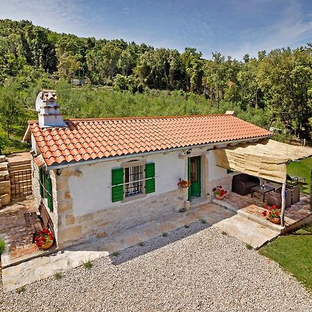 Villa Roinizza in Prtlog  Labin  Esterno foto
