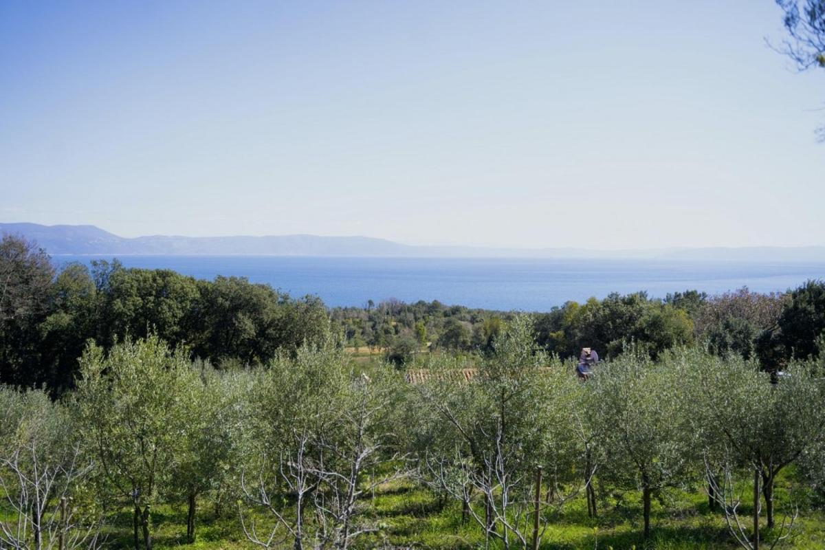 Villa Roinizza in Prtlog  Labin  Esterno foto