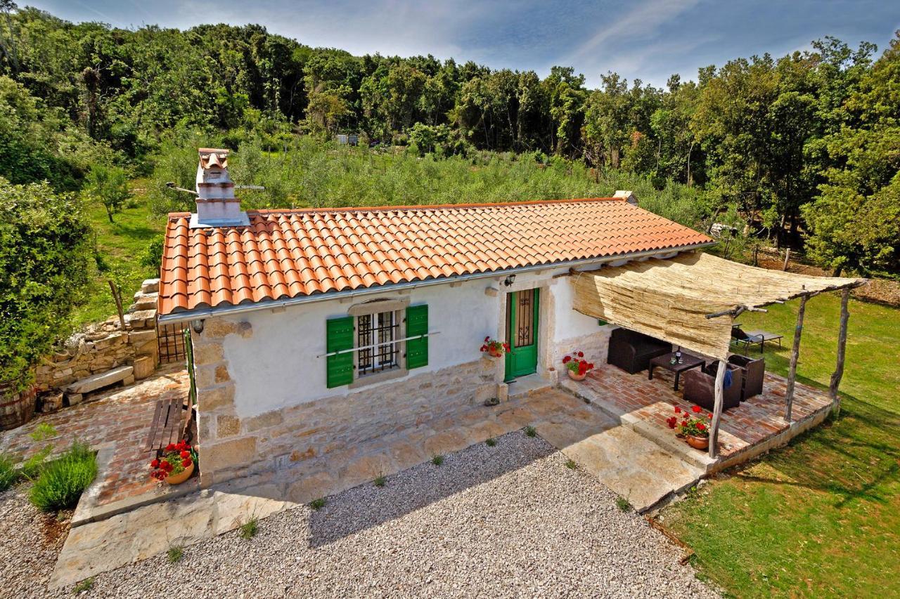 Villa Roinizza in Prtlog  Labin  Esterno foto