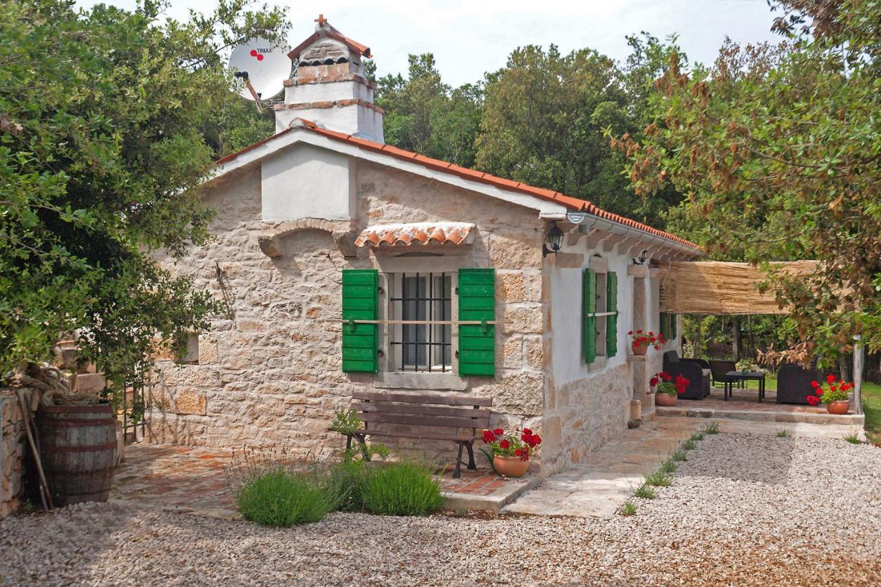 Villa Roinizza in Prtlog  Labin  Esterno foto
