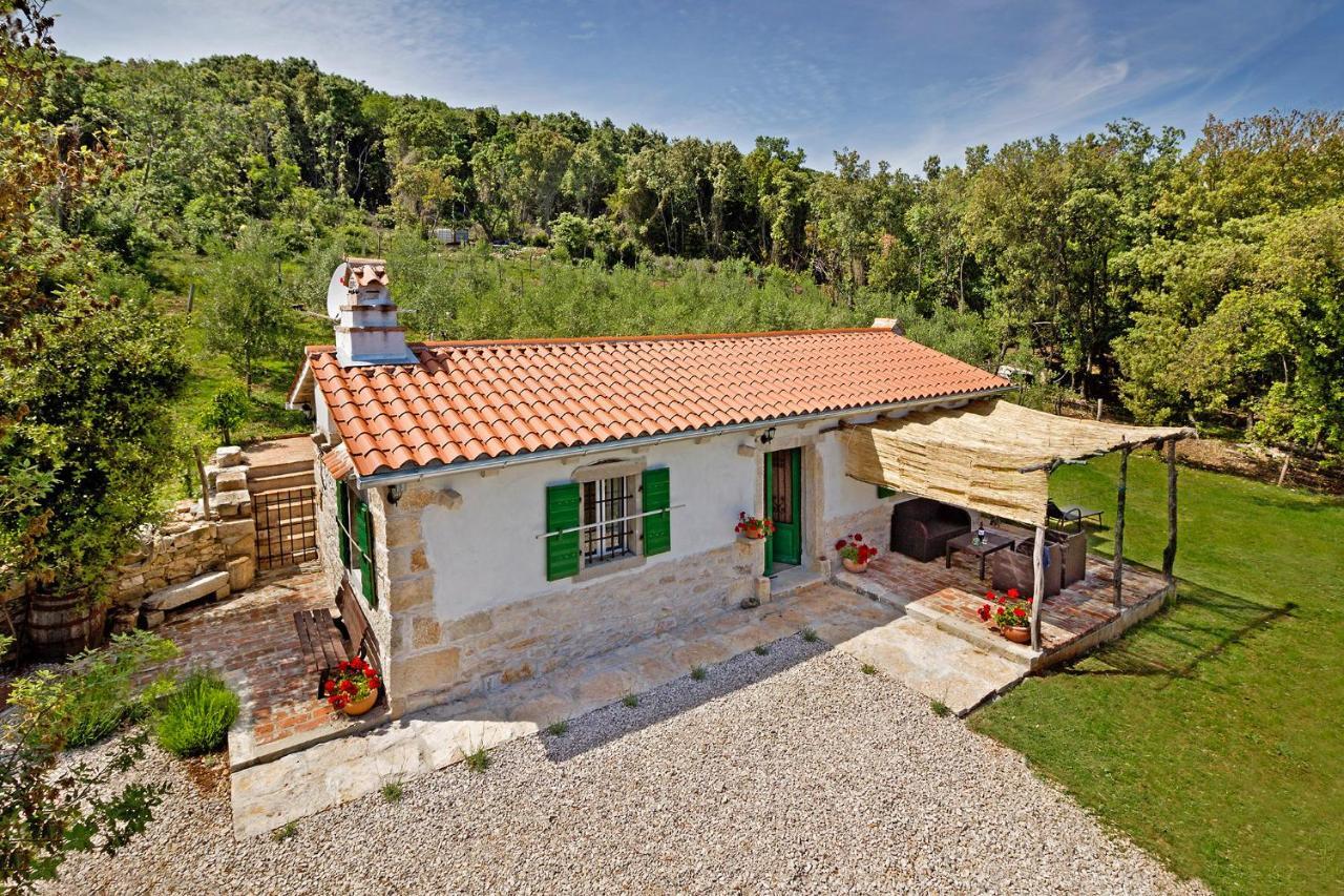 Villa Roinizza in Prtlog  Labin  Esterno foto