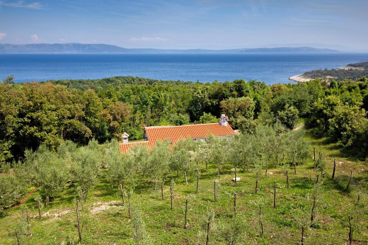 Villa Roinizza in Prtlog  Labin  Esterno foto
